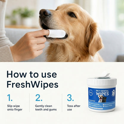 TartarGuard Dental Wipe Kit