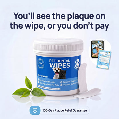TartarGuard Dental Wipe Kit